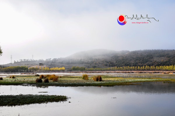 ཞོགས་པའི་ཉི་གཞོན་ཁྲོད་ཀྱི་དགའ་ལྡན་སུན་རྩེན་གླིང་།