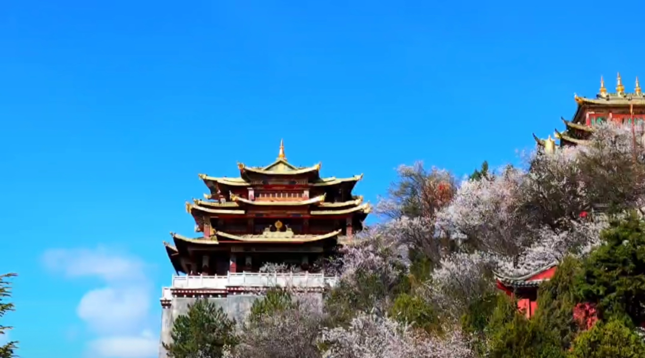 མཛེས་སྡུག་རྣམ་པར་བཀྲ་བའི་རྡོ་མཁར་རྫོང་གི་ཁམ་བུའི་མེ་ཏོག