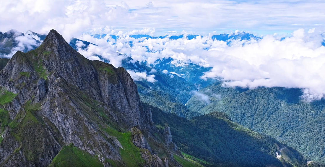 སྤྲིན་གསེབ་ཀྱི་རྨ་བྱ་རི་བོ།